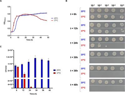 Exposure of the Opportunistic Marine Pathogen Photobacterium damselae subsp. damselae to Human Body Temperature Is a Stressful Condition That Shapes the Transcriptome, Viability, Cell Morphology, and Virulence